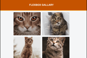Image of Flex Gallery