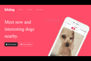 Image of BitDog